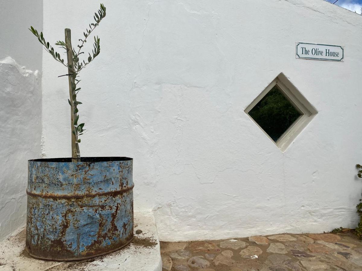 The Olive House, Prince Albert Εξωτερικό φωτογραφία