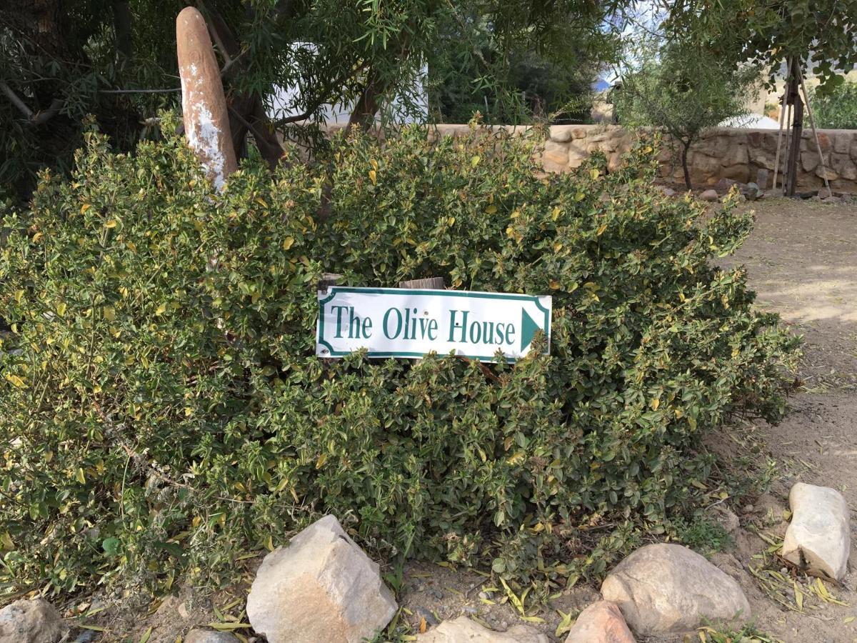 The Olive House, Prince Albert Εξωτερικό φωτογραφία