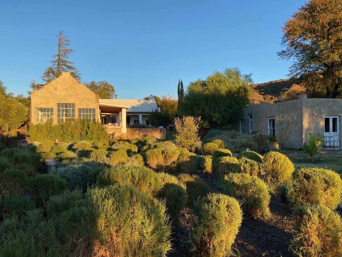 The Olive House, Prince Albert Εξωτερικό φωτογραφία