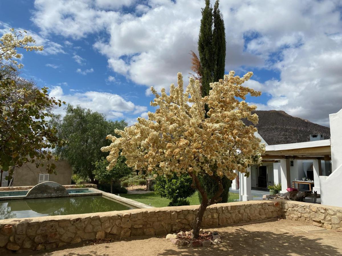 The Olive House, Prince Albert Εξωτερικό φωτογραφία